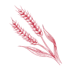 An illustration symbol in red representing the Maker's Mark classic aroma
