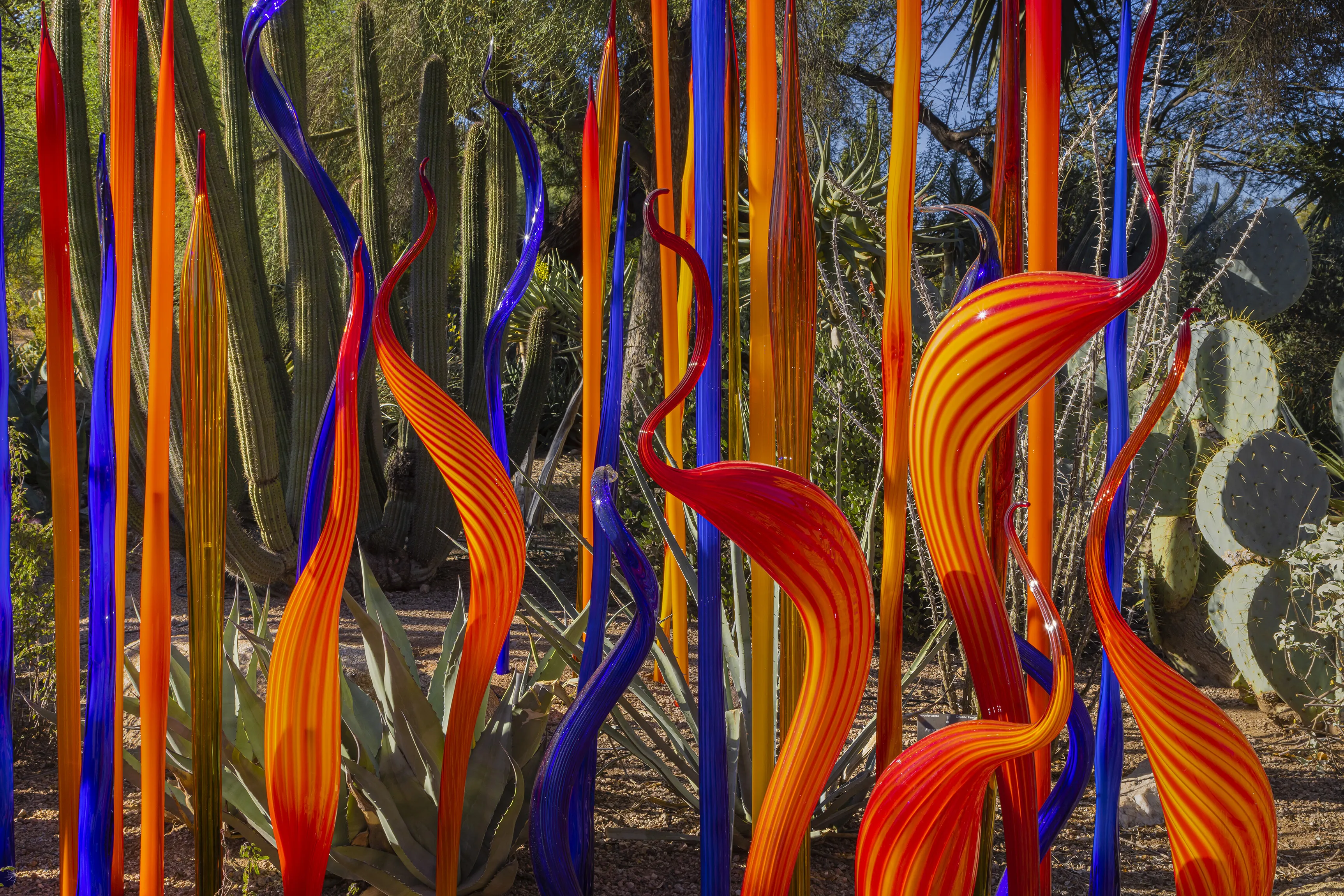Chihuly-Only Tours Banner